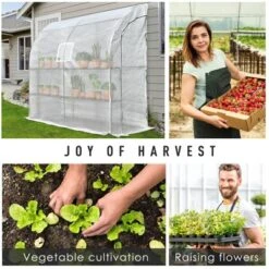 Outsunny 7' X 3' X 7' Outdoor Walk-In Greenhouse, Plant Nursery With Roll-up Windows, PE Cover, And 3 Wire Shelves -OUTSUNNY Sales Store GUEST 3951dfa8 85cd 4cc6 babe 3d0b4a3adfcc