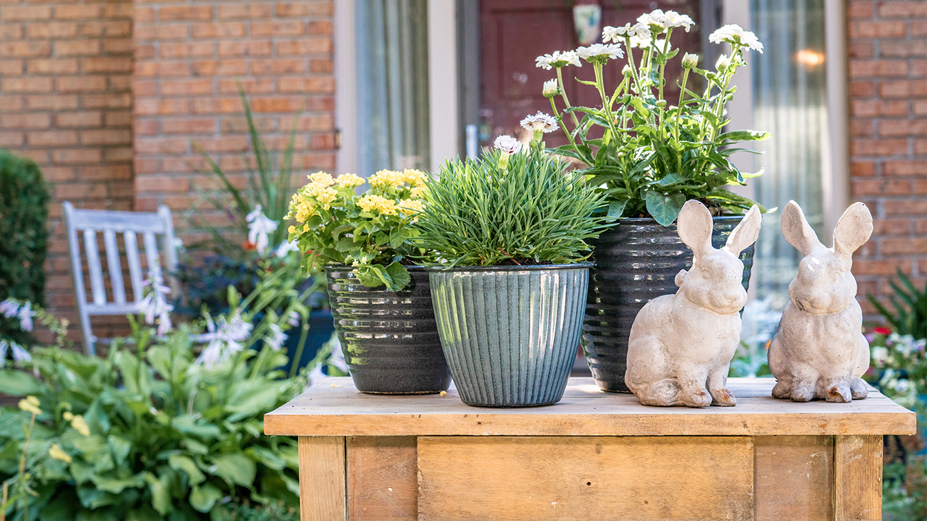 OUTSUNNY Sales Store -OUTSUNNY Sales Store A1Is4NkIkL